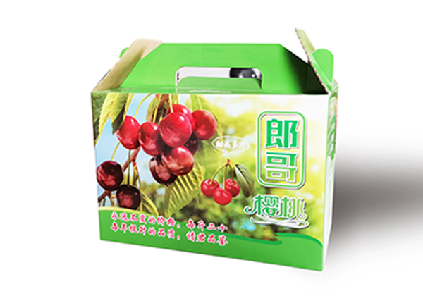 汉中时令水果手提盒
